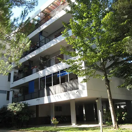 Argea Grado